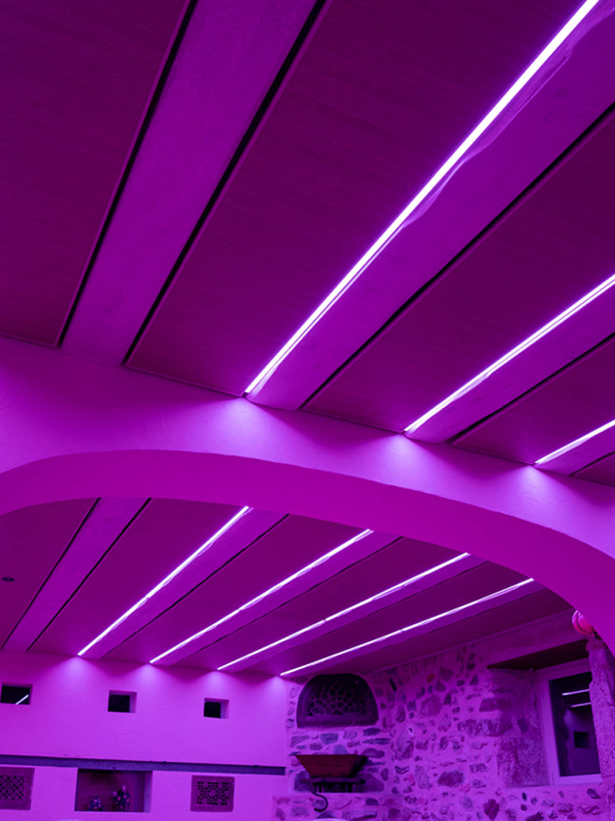 Portes des Iris à Morges salle des fêtes éclairage profils linéaires LED couleur violet-rose